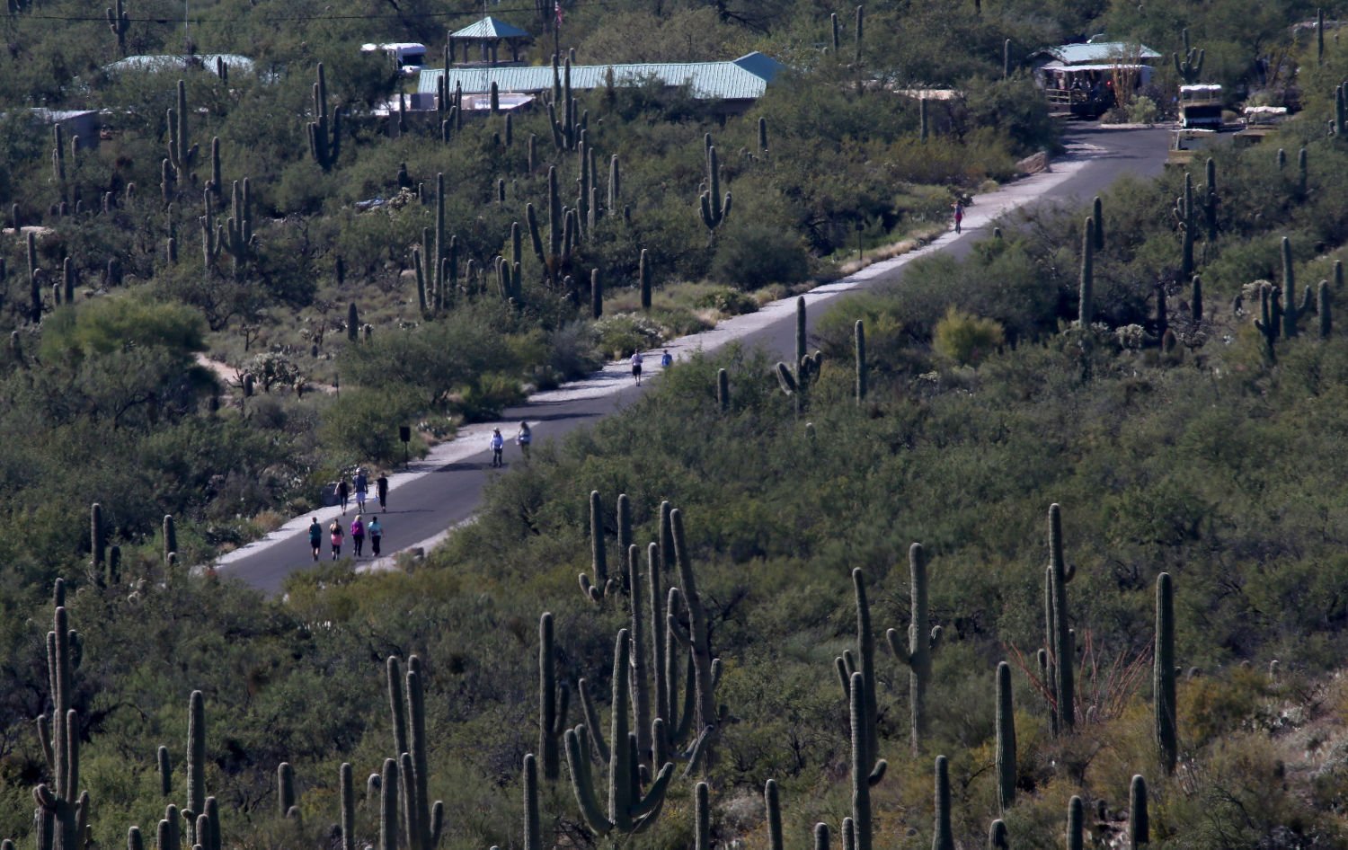 Sabino Canyon